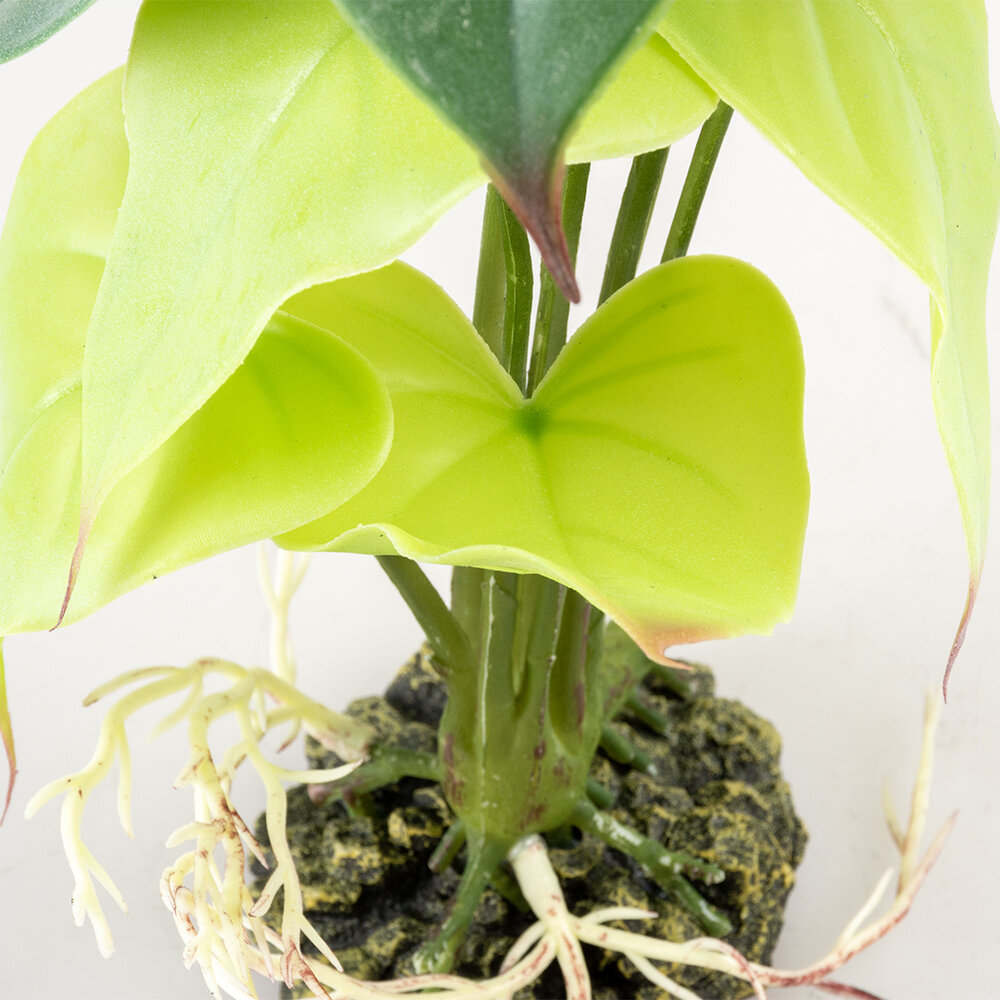 Terra Della Terrarium Kunstplant Alocasia groen