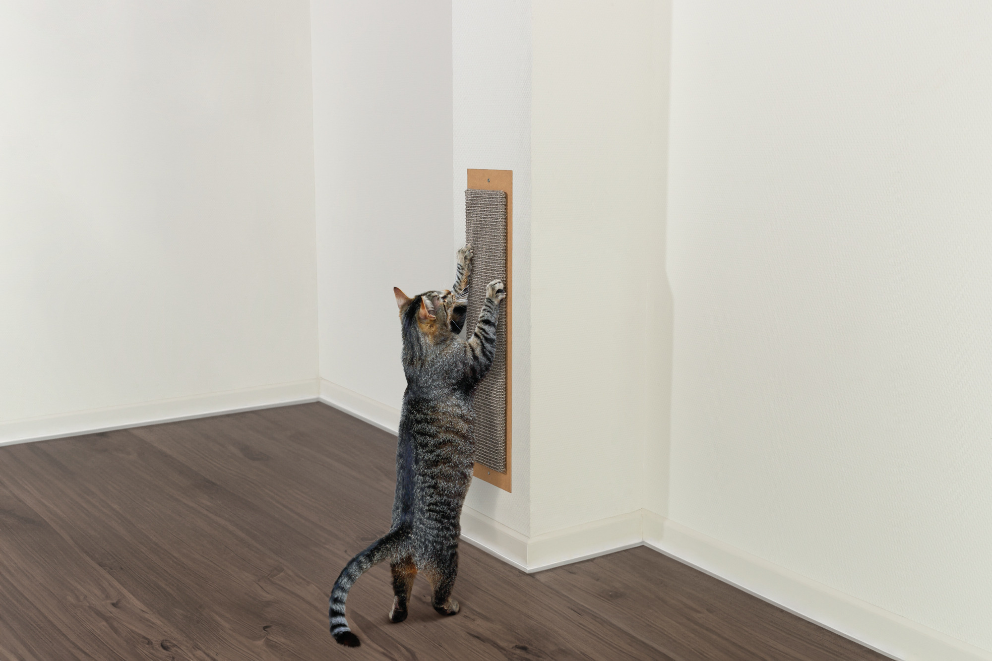 Krabmat voor aan de muur: Ruimtebesparende oplossingen