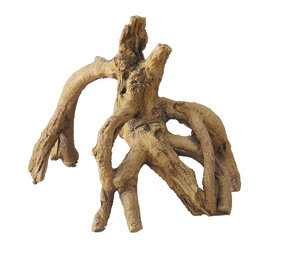 Aqua Della Aquarium Decoratie Mangrove Medium Aqua Della Aquarium Decoratie Mangrove Medium