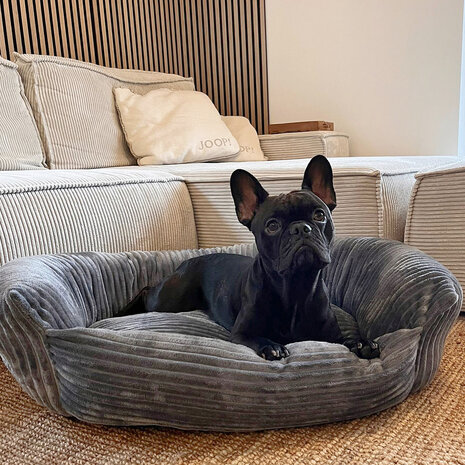 Wallace & Jones Hondenmand Cordo donkergrijs Wallace & Jones Hondenmand Cordo donkergrijs