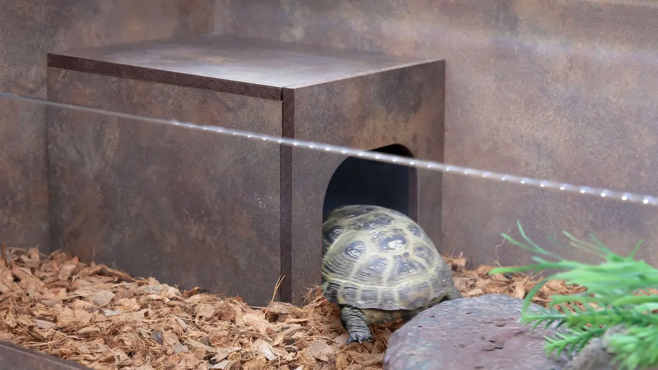 Aquatlantis Tortum Terra Zwart Aquatlantis Tortum Terra Zwart