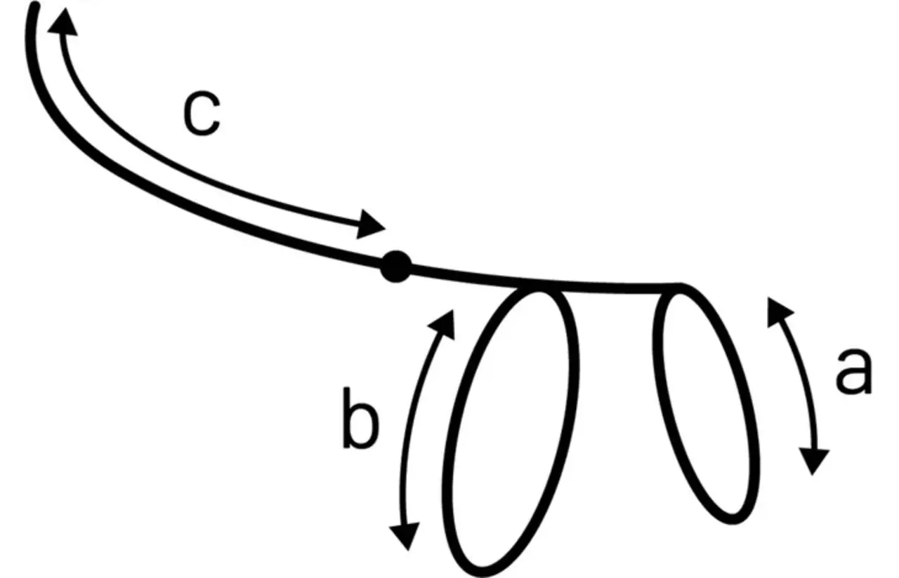 Flamingo Kattentuig Lomi Zalmroze