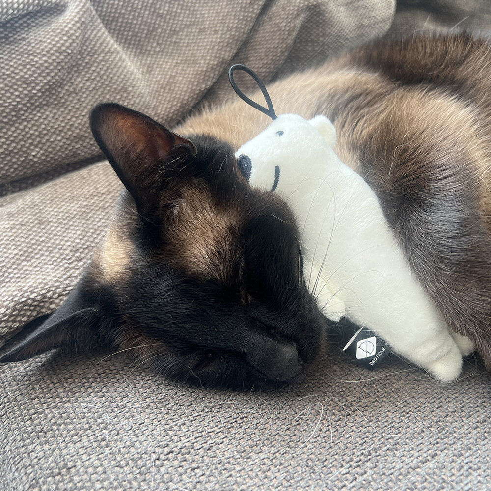 I Love Happy Cats Trappelkussen Beervorm Barry