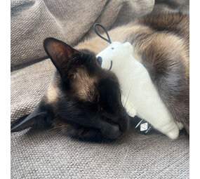 I Love Happy Cats Trappelkussen Beervorm Barry