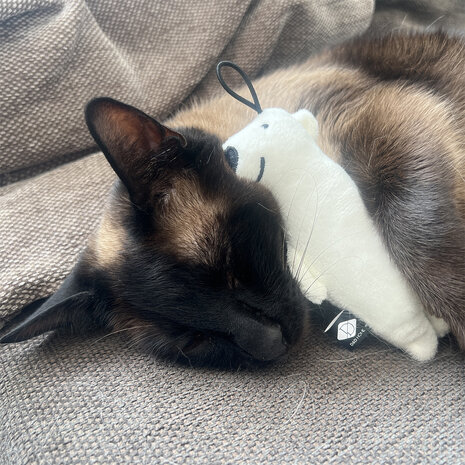 I Love Happy Cats Trappelkussen Beervorm Barry