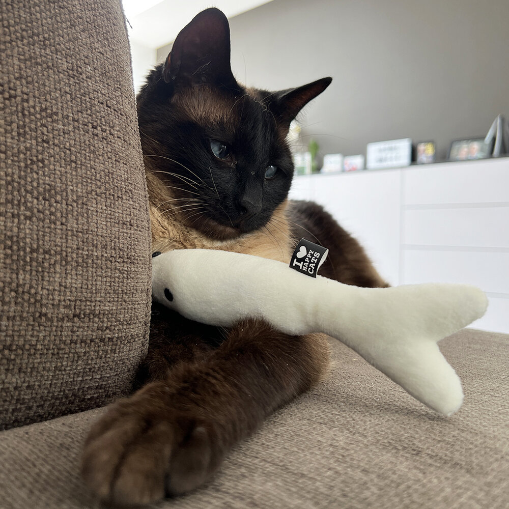 I Love Happy Cats Trappelkussen Visvorm Finn