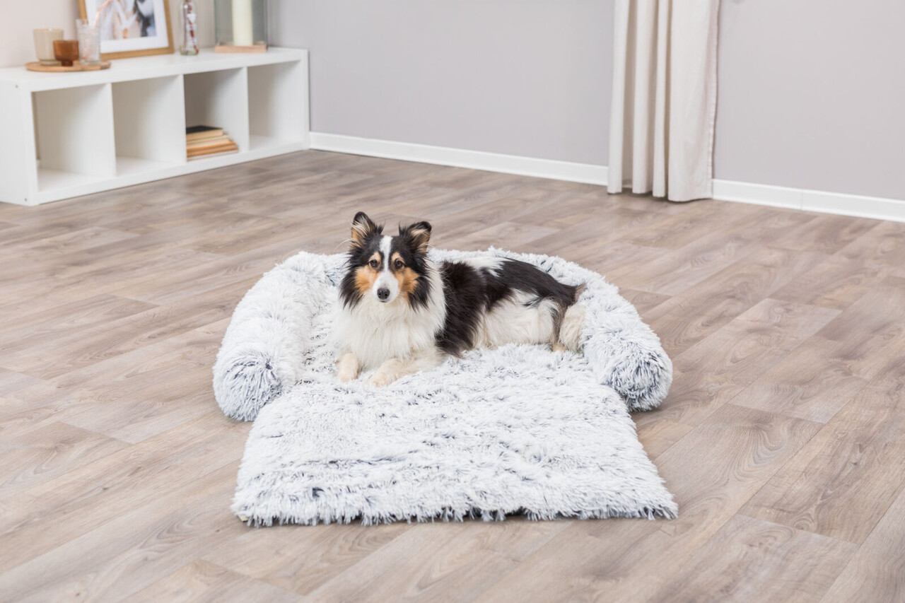 Trixie Hondendeken Bank Harvey