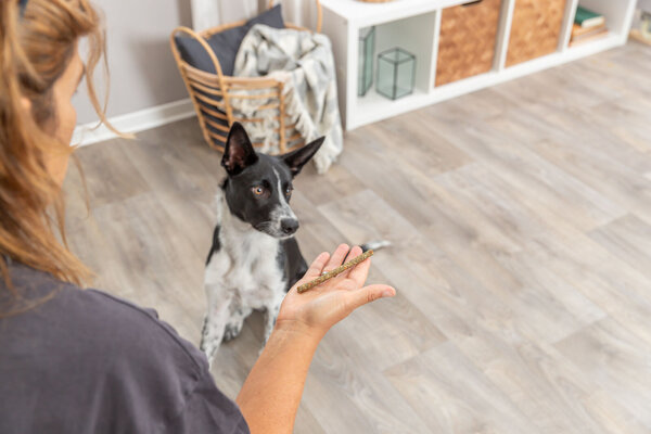 Trixie Vegan Stick met Groente & Fruit