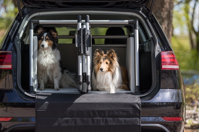 Top 5 beste reisbenches voor honden in 2025