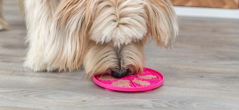 Wat kun je op een likmat hond smeren? 10 smakelijke ideeën!