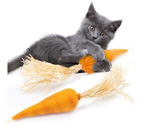 CanadianCat Company Kattenspeeltje Farmz Carrot Cushion CanadianCat Company Kattenspeeltje Farmz Carrot Cushion