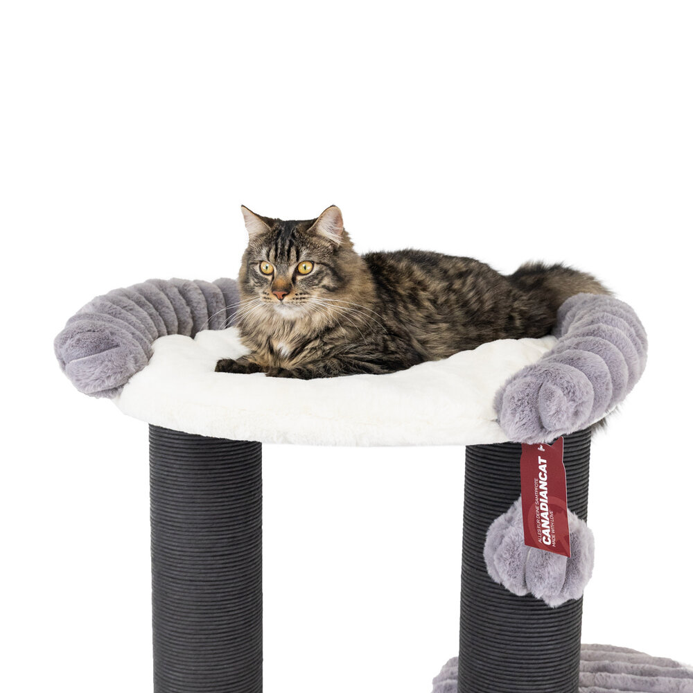 CanadianCat Company Design Krabpaal Edward grijs CanadianCat Company Design Krabpaal Edward grijs