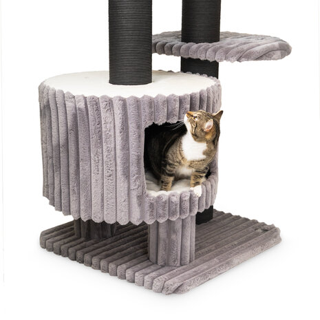 CanadianCat Company Design Krabpaal Edmond grijs CanadianCat Company Design Krabpaal Edmond grijs