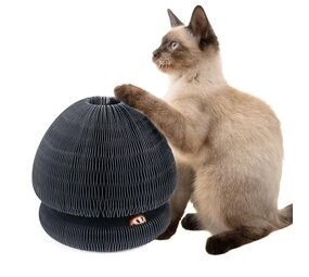 CanadianCat Company Champi Krabspeelgoed Karton met Speelbal CanadianCat Company Champi Krabspeelgoed Karton met Speelbal