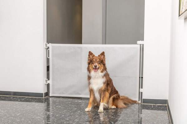 Trixie Honden Rolhek tot max 137 cm