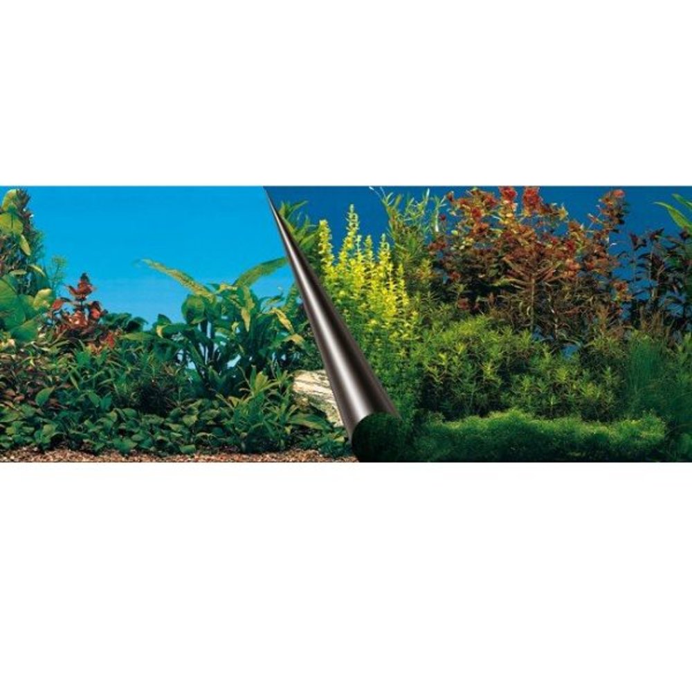 EBI Foto achterwand beauty/sea