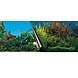 EBI Foto achterwand beauty/sea EBI Foto achterwand beauty/sea