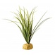 Exo Terra Turtle Grass Exo Terra Turtle Grass