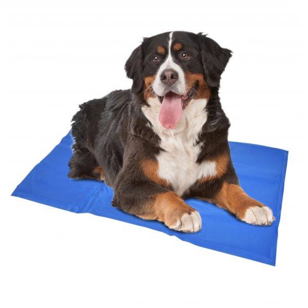 Geef je hond de juiste verkoeling met onze koelmat hond