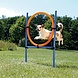 Trixie Agility Training Hond Ring Trixie Agility Training Hond Ring