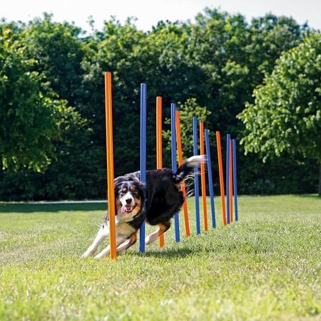 Trixie Agility Training Hond Slalom Trixie Agility Training Hond Slalom