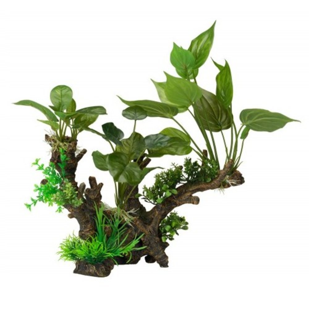 Aqua Della Flora Scape 3