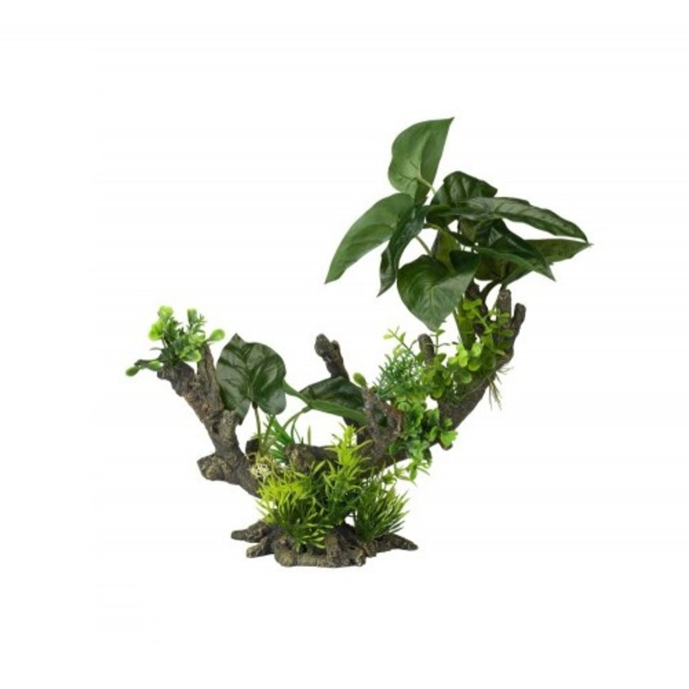 Aqua Della Flora Scape 2