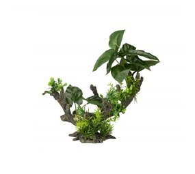 Aqua Della Flora Scape 2 Aqua Della Flora Scape 2