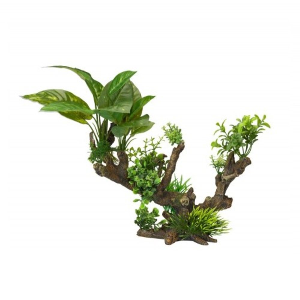 Aqua Della Flora Scape 5