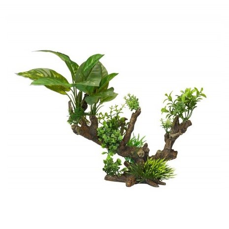 Aqua Della Flora Scape 5