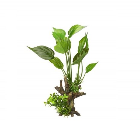 Aqua Della Flora Scape 7 Aqua Della Flora Scape 7