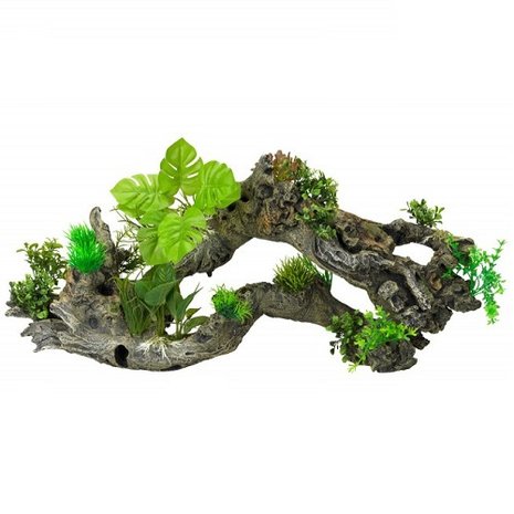 Aqua Della Flora Scape 8