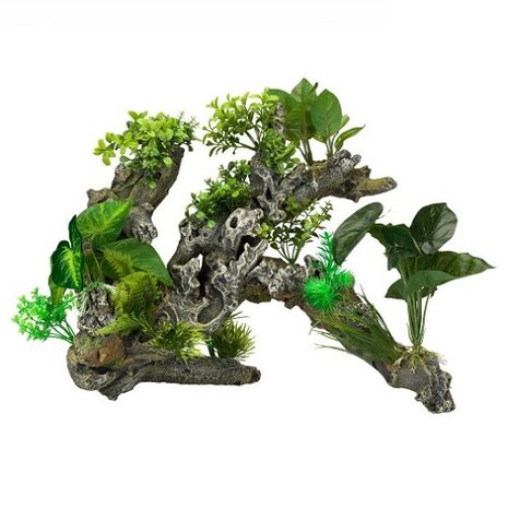 Aqua Della Flora Scape 9 XXL Aqua Della Flora Scape 9 XXL