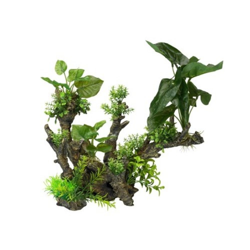 Aqua Della Flora Scape 1 Aqua Della Flora Scape 1