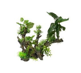 Aqua Della Flora Scape 1 Aqua Della Flora Scape 1