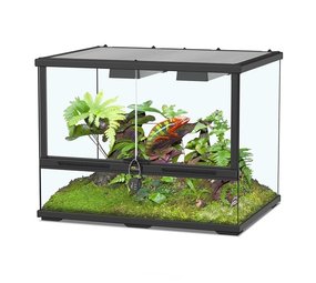 Smart Line Terrarium 60 x x 45 cm - Pets Gifts