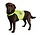 VeiligheidsVest voor honden