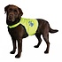 Veiligheidsvest voor honden Veiligheidsvest voor honden