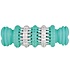 Dental Fun Mint Bone