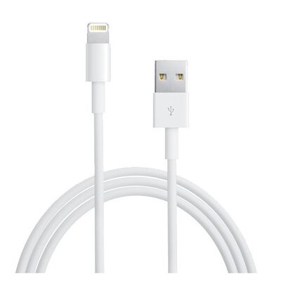 iPhone 5 / 5S / iPad mini Lightning USB kabel (1 meter)