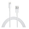 iPhone 5 / 5S / iPad mini Lightning USB kabel (1 meter)