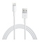 iPhone 5* / iPad (mini, 2 retina) / thuislader - Met USB kabel