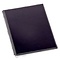 OEM iPad 2 LCD Screen