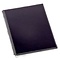 OEM iPad 2 LCD Screen