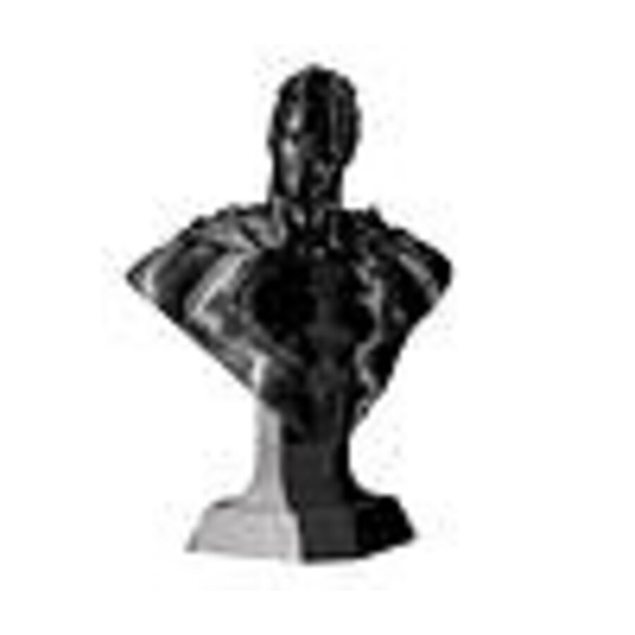 BioFusion - Jet Black,  800 grams high gloss filament-3