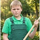 Groenvoorziening