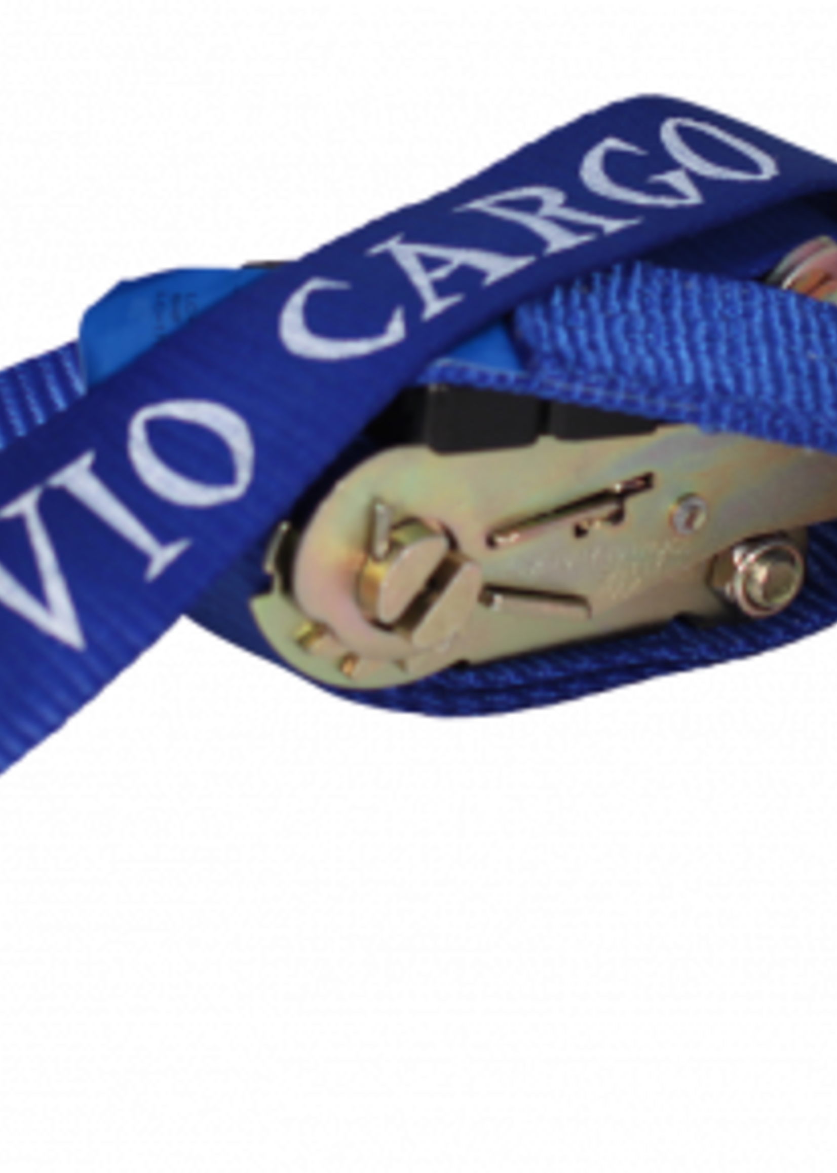 Novio Spanband autotransport universeel 250x5 cm (860 kg)