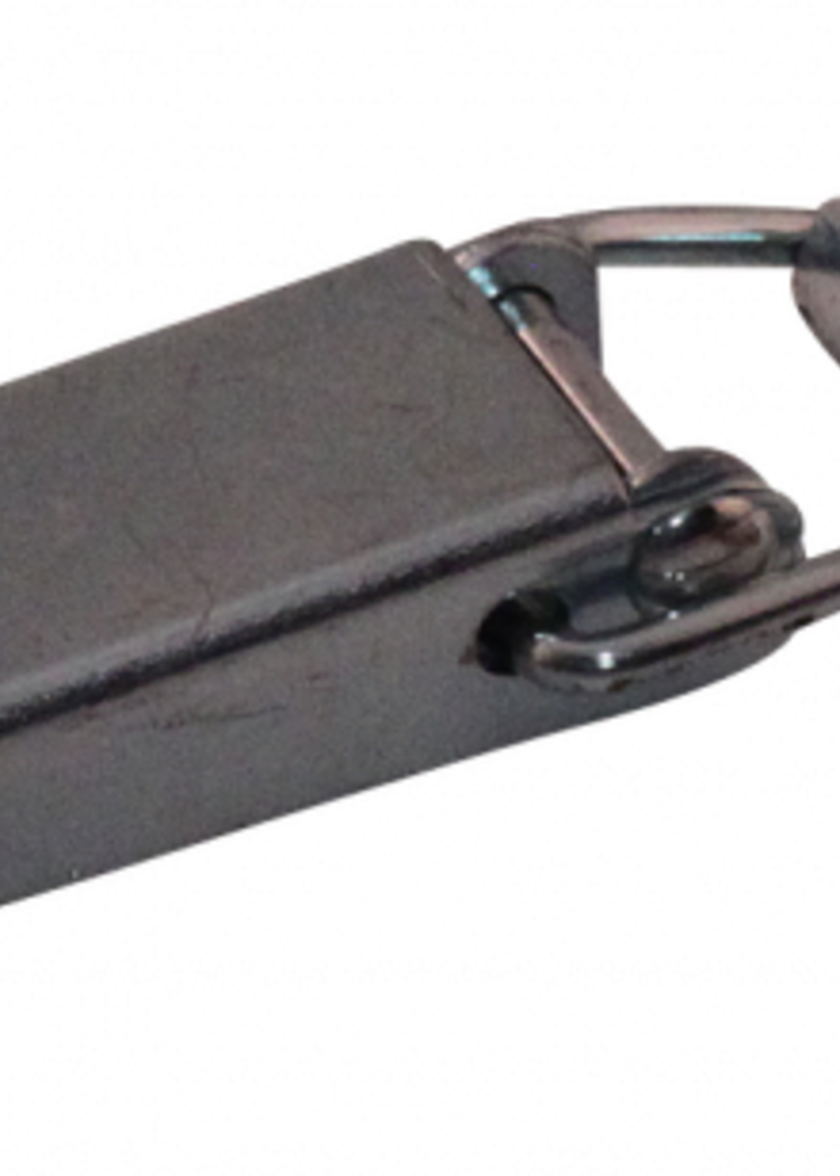 Cantonal Eierkistsluiting met haak - 130x30 mm  - inclusief slothaak - haaklengte 64 mm