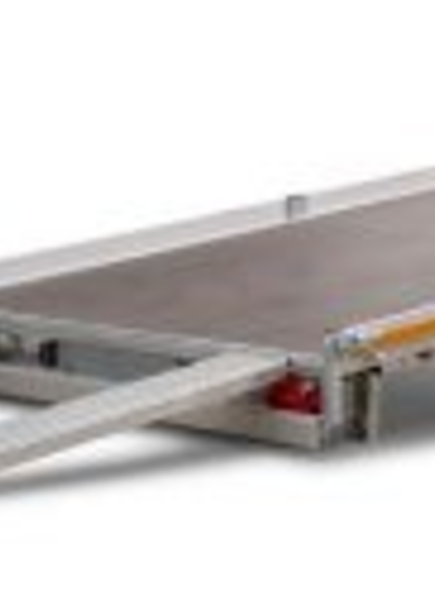 Eduard Geremde Eduard autotransporter - 406x200 cm - 2700 kg bruto laadvermogen - 63 cm laadvloerhoogte - kantelbaar met oprijplaten - 10 cm reling