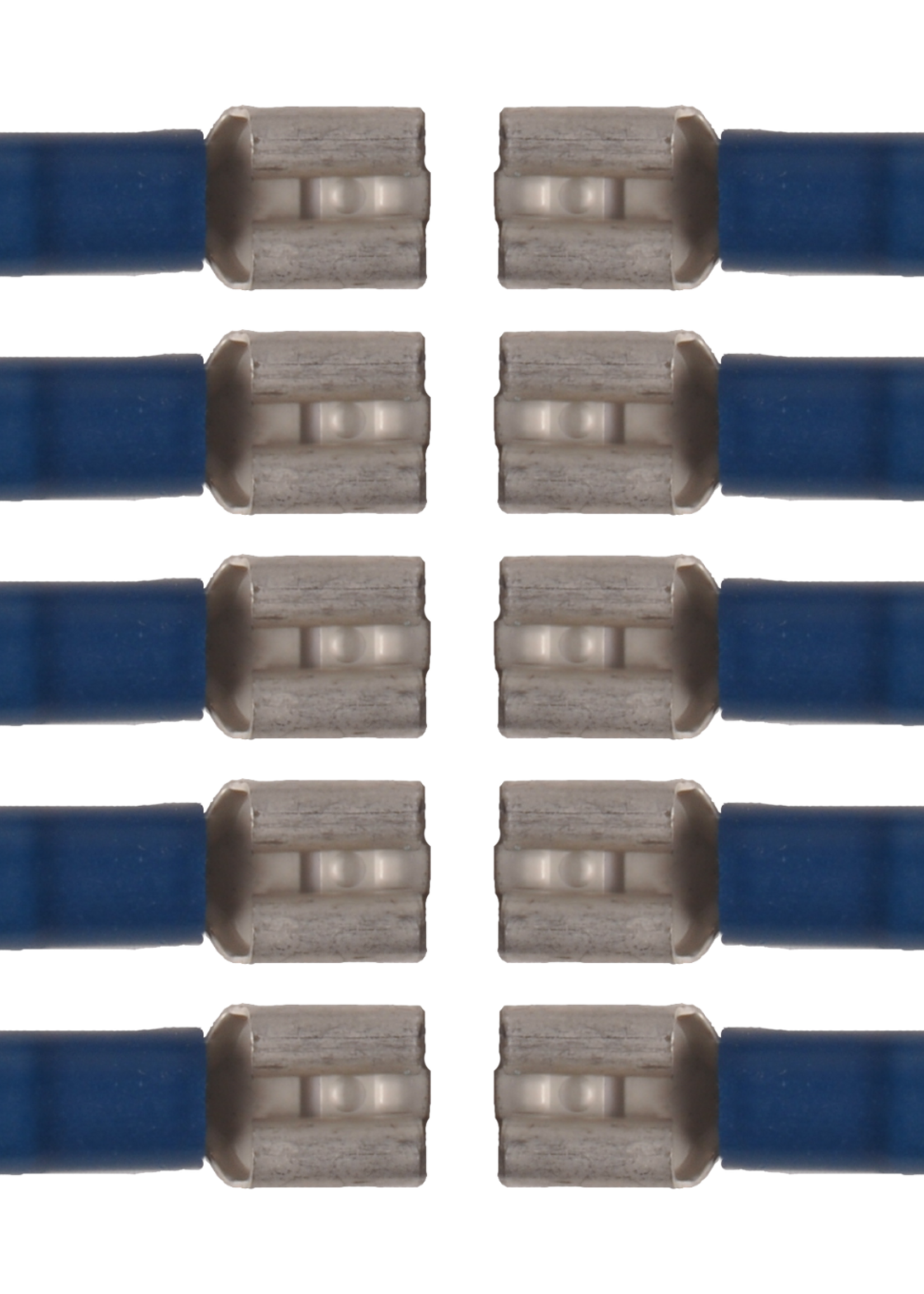 Cantonal AMP stekker 6,3x0,8 vrouwtje (10 stuks)